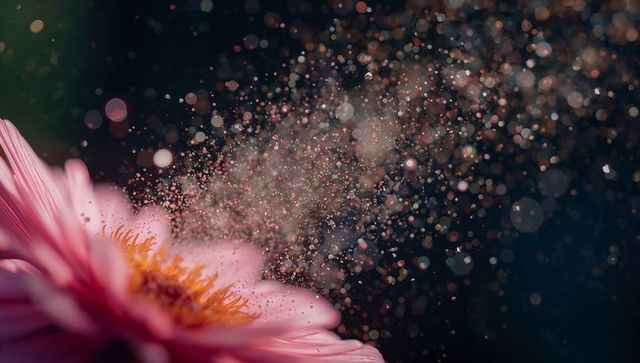Pink daisy releasing glittering pollen plume with soft bokeh and dreamy sparkle
