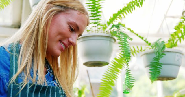 Smiling Female Gardener Working in Greenhouse with Hanging Ferns - Download Free Stock Images Pikwizard.com