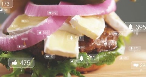 Gourmet Beef Burger with Cheese and Onions with Social Media Icons