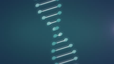 Spinning DNA Strand with Connective Network Background