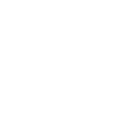 Seamless Floral Circular Pattern on Transparent Background - Download Free Stock Videos Pikwizard.com