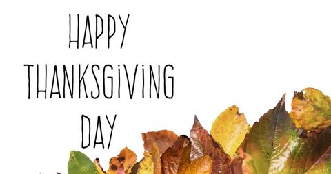 Hand-drawn happy thanksgiving day greeting animating with autumn leaf border