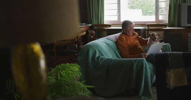 Senior Man Relaxing on Couch with Laptop and Dog in Cozy Living Room - Download Free Stock Images Pikwizard.com