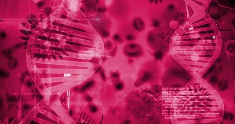 Magenta dna helices with virus spikes and blood cells holographic medical background