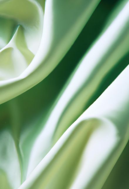 This green silk fabric photo showcases an intricate close-up view of soft and gentle waves, highlighting its smooth texture and material quality. Ideal for use in backgrounds, textile designs, fabric illustrations, or as elegant conceptual art for presentations and promotional materials.