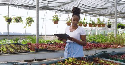 Female gardener analyzing seedlings with clipboard in greenhouse