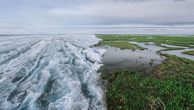 Icy boundary meets green marsh in arctic landscape