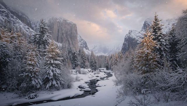 Meandering Snow-Covered Stream Flowing Through Alpine Valley with Snow-Laden Conifers
