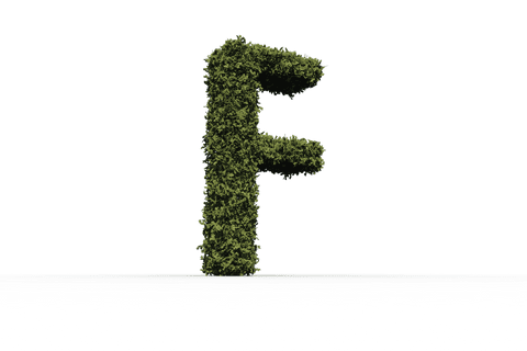 Transparent F Letter Overgrown with Vegetation - Download Free Stock Videos Pikwizard.com