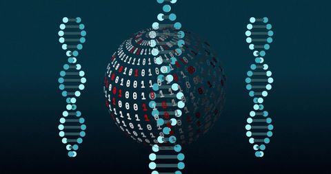 Digital DNA Strands with Binary Globe Technology - Download Free Stock Images Pikwizard.com