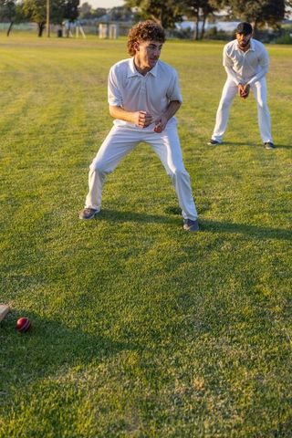 Crouching fielders in white cricket kit focusing on red ball near stump on sunlit outfield