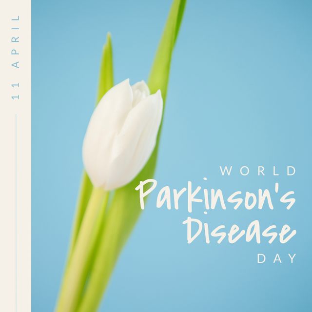 Composition of parkinson's awareness day and white tulip on blue background - Download Free Stock Videos Pikwizard.com