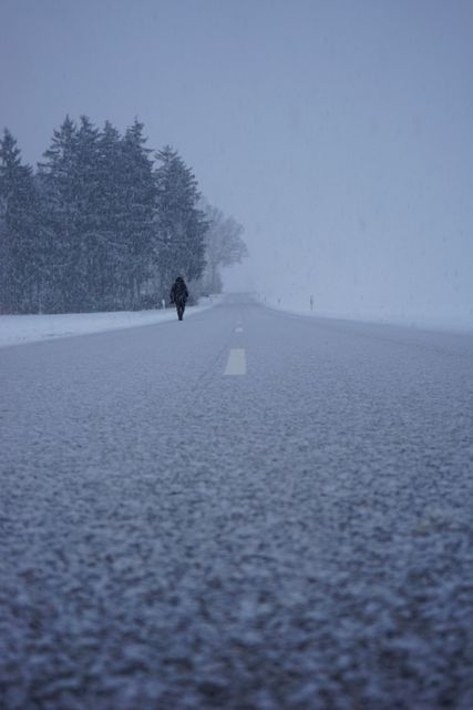 Snowy road stretching into distance with a single person walking alone, surrounded by snow and wintry landscape. Can use for themes of solitude, nature, winter journeys, travel, and reflection scenes.