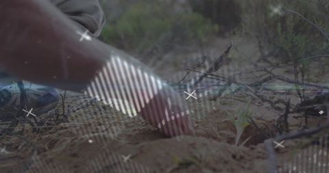 Hand probing arid sandy soil with small seedling and twigs