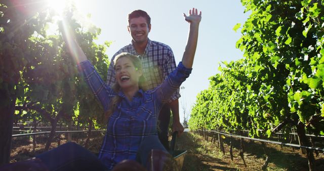 Couple Enjoying Playful Adventure in Vineyard During Sunny Day - Download Free Stock Images Pikwizard.com