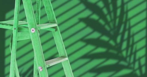 Green ladder against leaf shadow on vibrant tropical backdrop