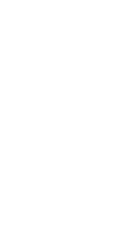 Minimalist transparent botanical line art illustration with leaves