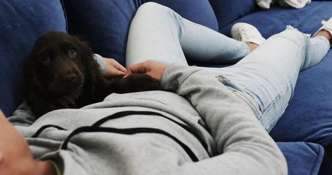 Relaxing at Home with a Small Brown Puppy on Sofa