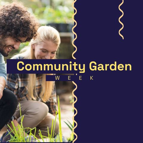 diverse couple enjoying community garden activities together - Download Free Stock Templates Pikwizard.com
