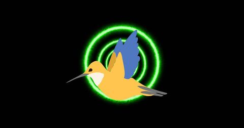 Colorful Bird and Neon Circles on Black Background - Download Free Stock Images Pikwizard.com