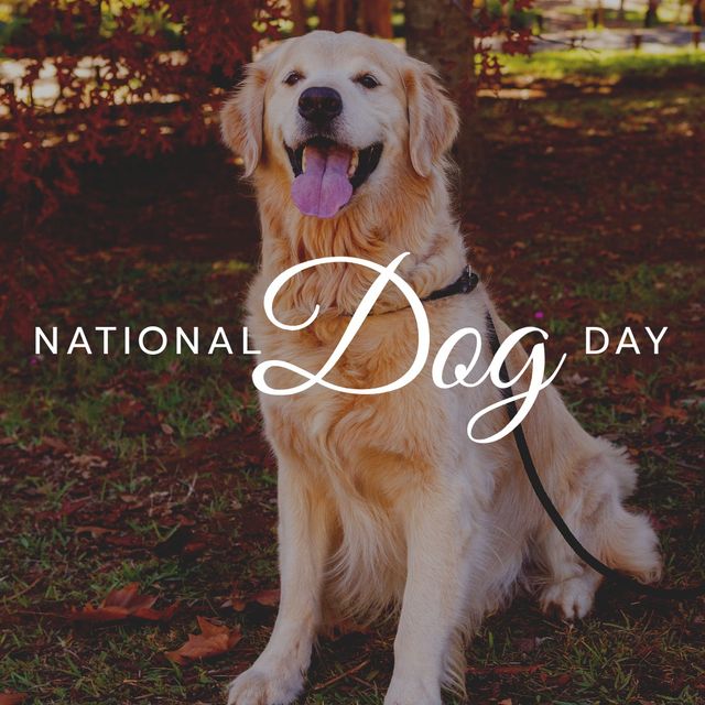Composite of portrait of golden retriever sticking out tongue in park and national dog day text. Dog, animal, pet, breed, adoption, protection and celebration concept.