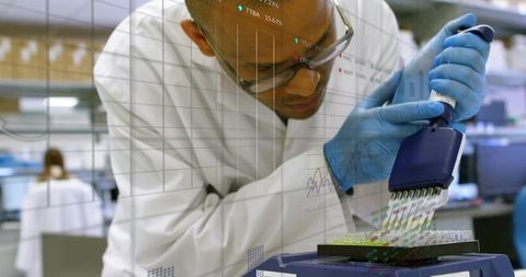 Pipetting multichannel microplate using adjustable multichannel pipette by lab technician