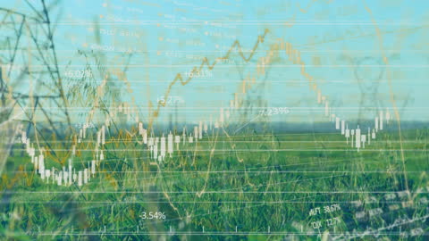 Overlay of Digital Financial Data on Landscape