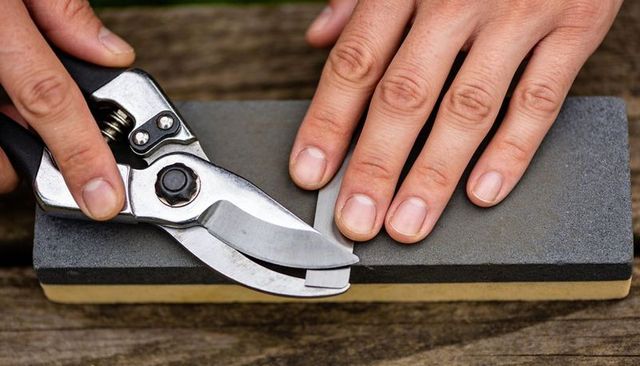 Sharpening pruning shears on two-tone whetstone, aligning blade for garden tool maintenance