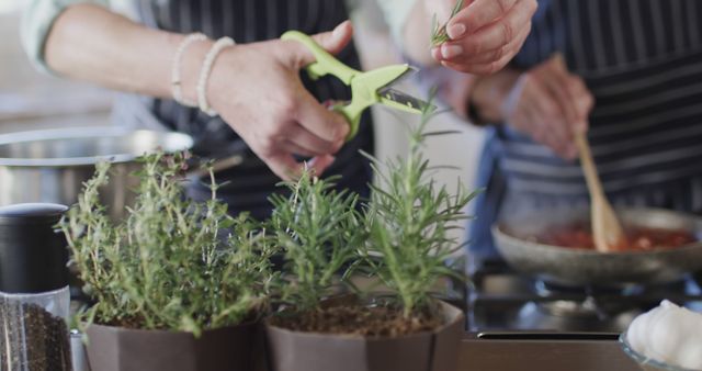 Couple Cooking with Fresh Herbs in Home Kitchen - Download Free Stock Images Pikwizard.com