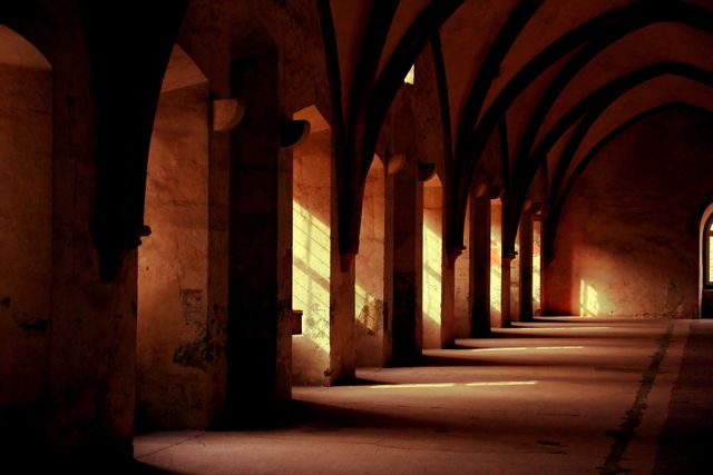 This photograph captures the serene and mystical beauty of an ancient monastery corridor. Sunlight streams through the arched windows, casting dramatic shadows on the stone floor and emphasizing the intricate architectural details. Ideal for use in historical documentaries, travel blogs, presentations about ancient architecture and heritage sites, or interior design inspiration showcasing gothic design elements.