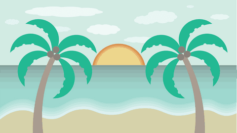 sunset over ocean with palm trees on transparent background - Download Free Stock Videos Pikwizard.com