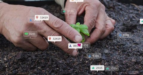 Digital native: planting seedling connectivity and growth
