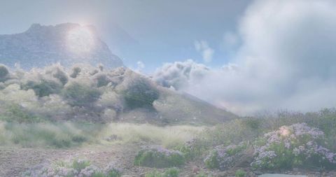 Peaceful meadow with purple blossoms and clouds by mountain peak