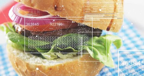 Augmented reality burger nutrition scanner hud overlay with data readouts on gingham