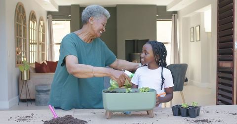 African grandmother guiding granddaughter planting seedlings indoors container gardening