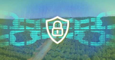 Futuristic Digital Security Hologram Over Dense Forest