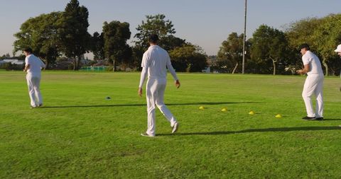 Cricket teammates practicing fielding drills on sunlit green outfield for teamwork training