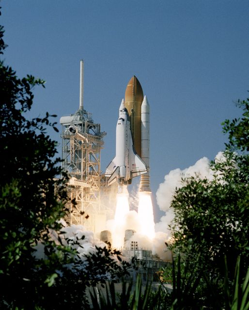 View of Space Shuttle Discovery launching on Oct. 29, 1998, framed by Florida greenery. Highlights start of nine-day mission STS-95. Useful for topics on space exploration history, NASA missions, and technological advancements in space travel.