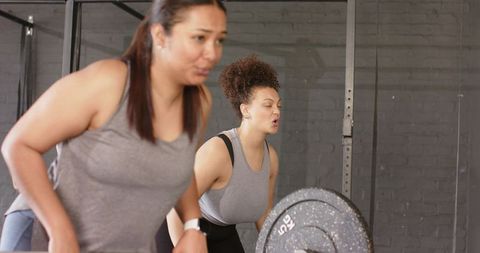 Diverse women lifting barbell together in gym showing strength determination and teamwork