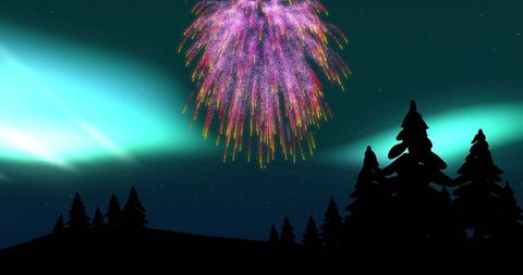 Colorful Fireworks Illuminate Winter Wonderland Night Sky