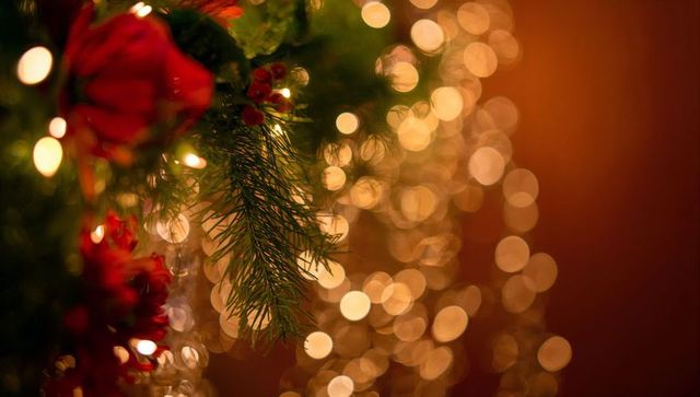 Warm christmas garland with glowing bokeh lights, evergreen sprig and red poinsettia