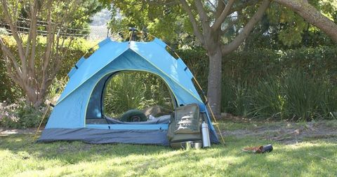 Blue dome tent camping under tree canopy with backpack thermos and sleeping bag