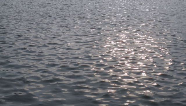 Shimmering rippling sea surface with sun glints and silver water texture in daylight