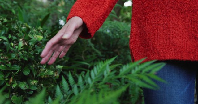 Person Enjoying Nature in Red Jacket - Download Free Stock Images Pikwizard.com