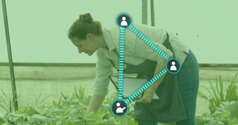 Eco-friendly horticulturist using technology in sustainable greenhouse