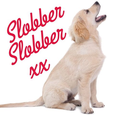 playful golden retriever expressing love and affection - Download Free Stock Templates Pikwizard.com