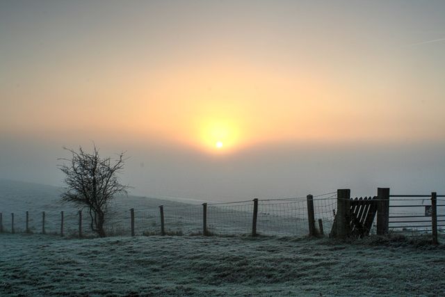 Sun rising over a frosty pasture with fog creating a serene and tranquil atmosphere. Minimalist feel with a single tree and fencing that adds to the tranquility. Perfect for themes involving calmness, nature, winterscapes, or rustic countryside charm. Great for backgrounds, serene travel blogs, landscape collections, winter morning-themed content, or mindfulness and relaxation projects.