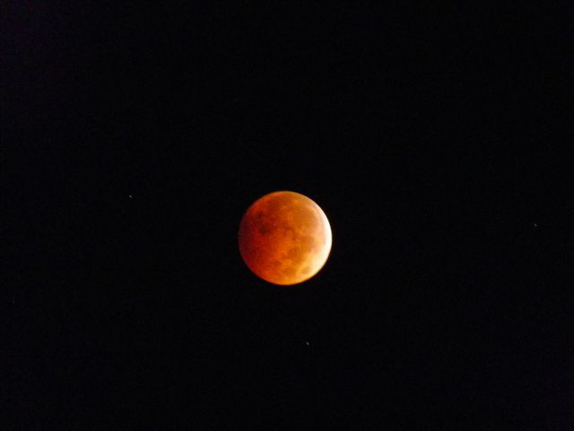 Blood Moon Lunar Eclipse in Clear Night Sky - Download Free Stock Photos Pikwizard.com