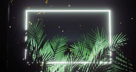 Glowing neon frame illuminating tropical palm fronds with drifting gold confetti