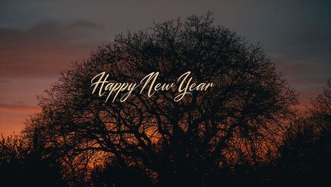 Happy New Year Script Over Dramatic Bare Tree Silhouette at Orange Twilight for Holiday Greeting